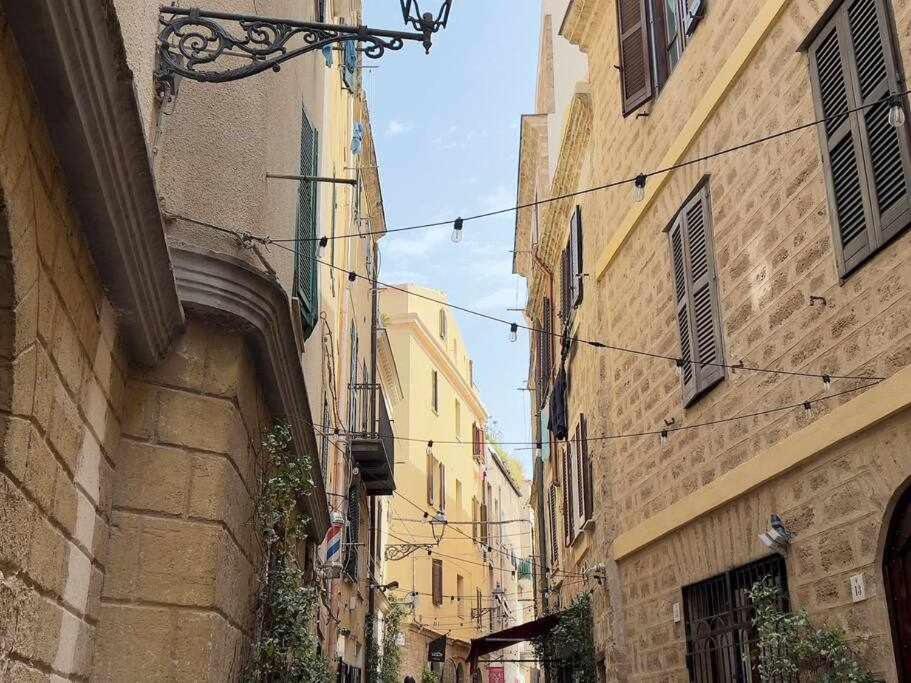 Minerva 10 Steps From Piazza Civica Apartment